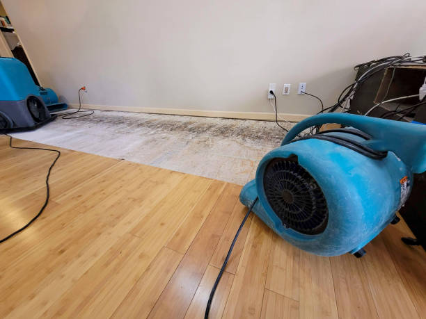 Professional Structural Drying technician working in Montrose, CA
